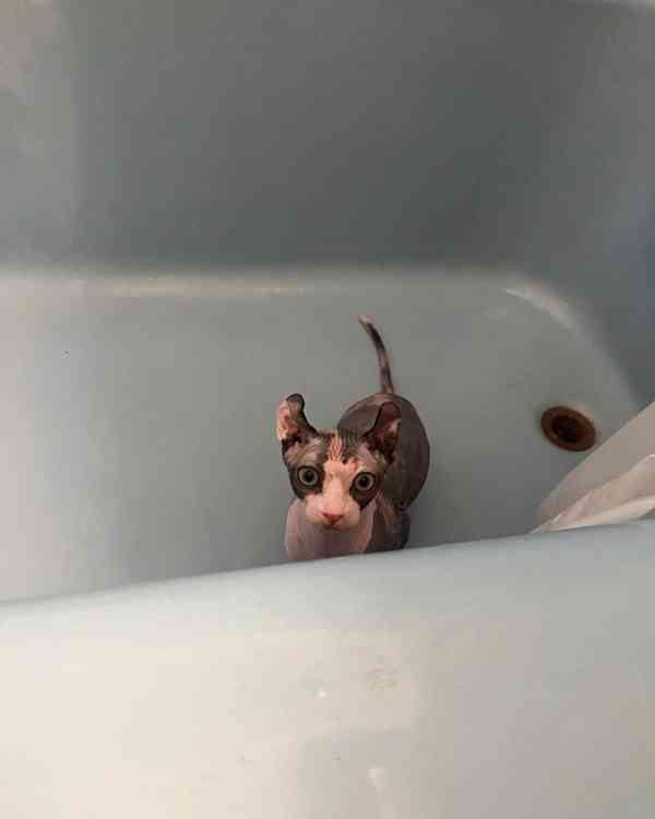 Vaše vrásčitá, vřelá nejlepší kamarádka! - foto 2