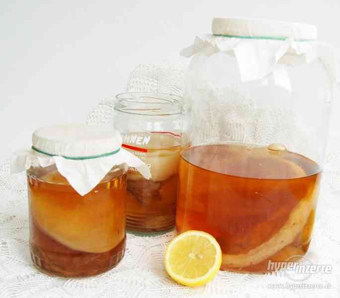 Kombucha - násada k vytvoření si vlastního nápoje - foto 1