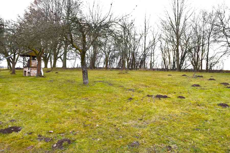 Vernéřovice - prodej domu 7+kk s pozemkem 2731 m2 - foto 4