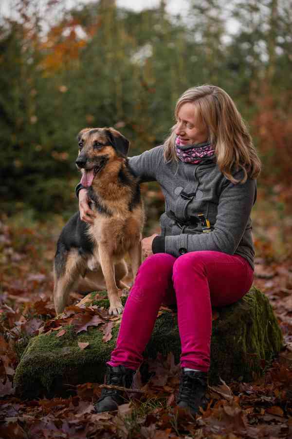 WILLIS - 20 kg, kastrovaný psík 8 let - foto 6