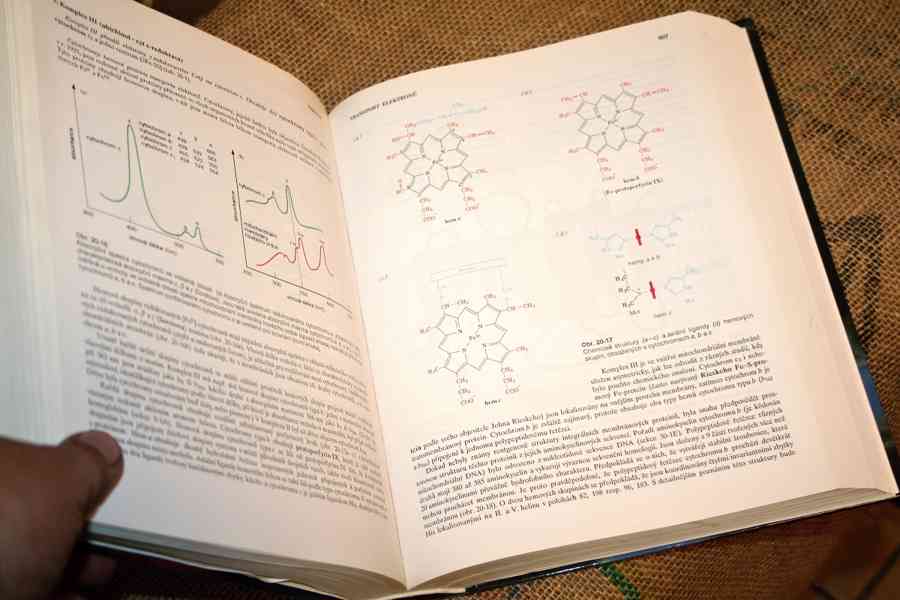 BIOCHEMIE (Donald Voet) - NESEHNATELNÉ!!! - foto 7