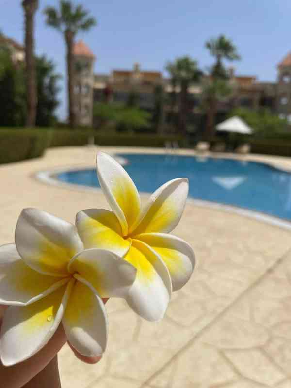 Apartman na pronajem Sahl Hasheesh - foto 3