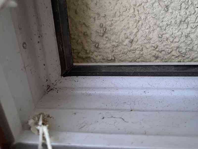 Dveře vstupní vedlejší s rámem  - foto 4