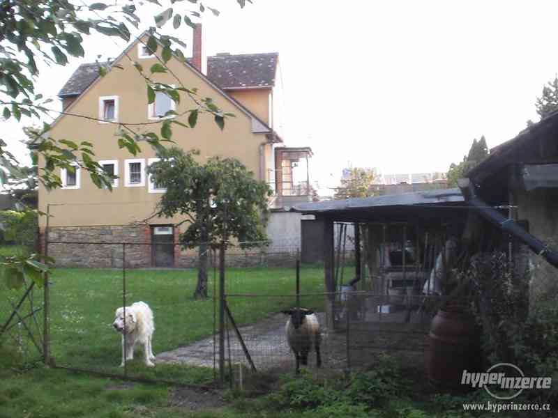 Dům s pozemky u Tesca Prostějov, Držovice na Moravě - foto 12