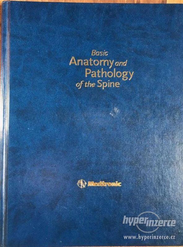 Pathology of the spine