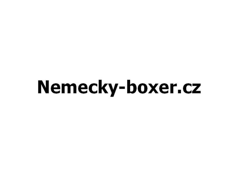 Nemecky-boxer.cz