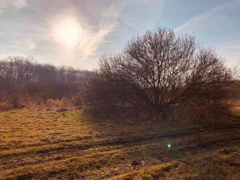 Lúka Malé Leváre, 26 385 m² pri Morave - foto 4