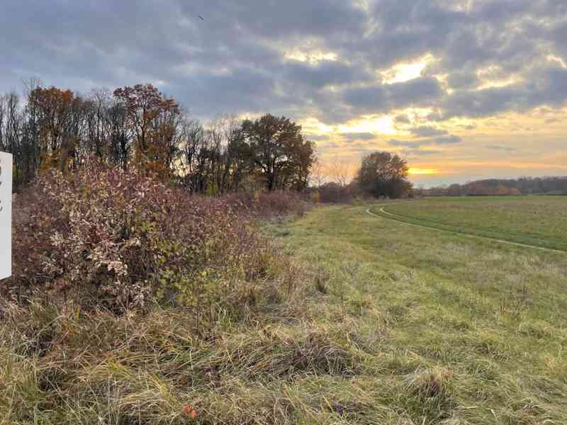 Lúka Malé Leváre, 26 385 m² pri Morave - foto 13