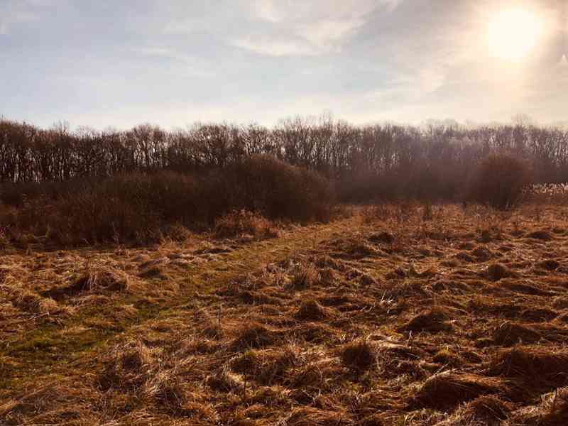 Lúka Malé Leváre, 26 385 m² pri Morave - foto 5