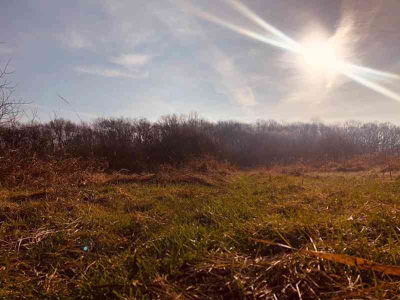 Lúka Malé Leváre, 26 385 m² pri Morave - foto 6