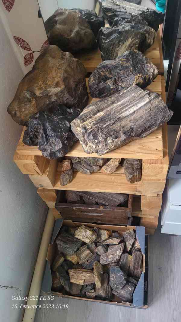 Prodám zkamenělé dřevo  - foto 2