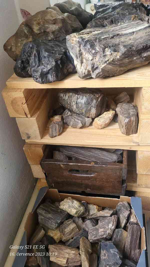Prodám zkamenělé dřevo  - foto 1