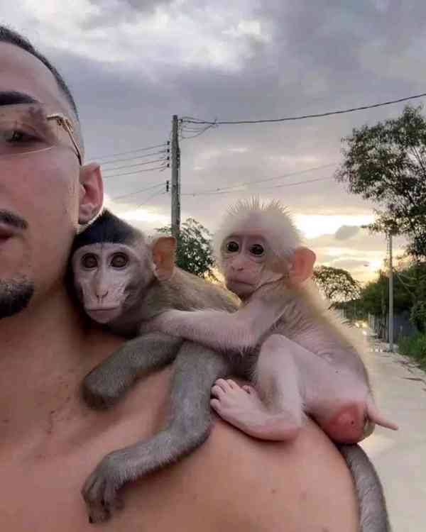  Super jemné kapucínky - foto 1