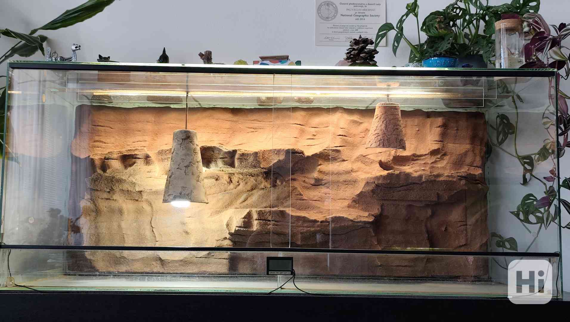 Prodám použité terárium v parádním stavu-Rozměry 120x50x50cm - foto 1