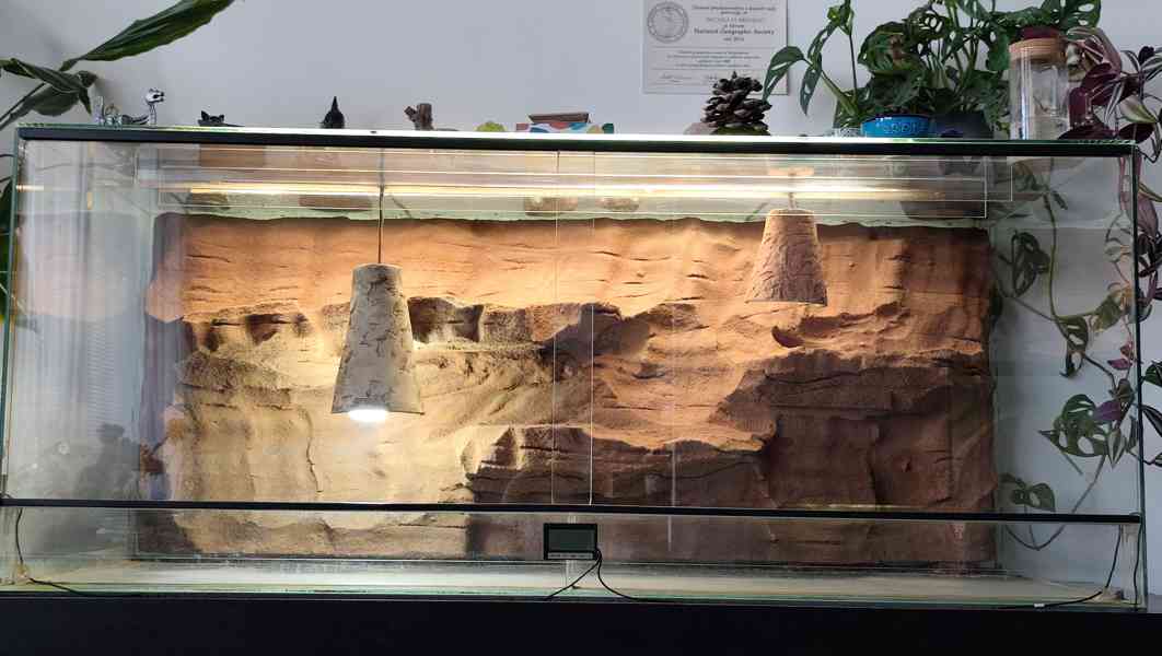Prodám použité terárium v parádním stavu-Rozměry 120x50x50cm - foto 1
