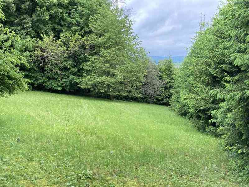 Prodej stavebního pozemku v Sušici pod Kalichem  - foto 14