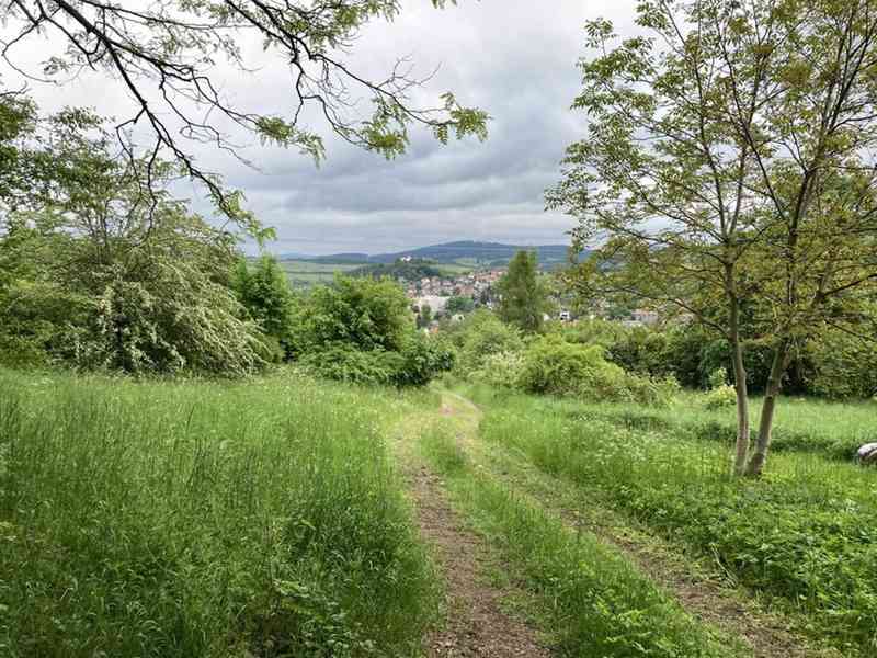 Prodej stavebního pozemku v Sušici pod Kalichem  - foto 9