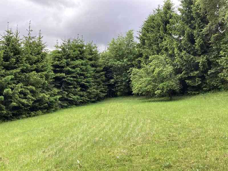 Prodej stavebního pozemku v Sušici pod Kalichem  - foto 4