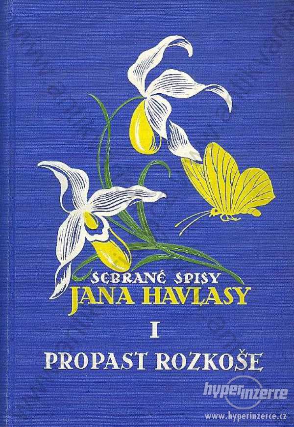 Propast rozkoše Jan Havlasa 1929 - foto 1