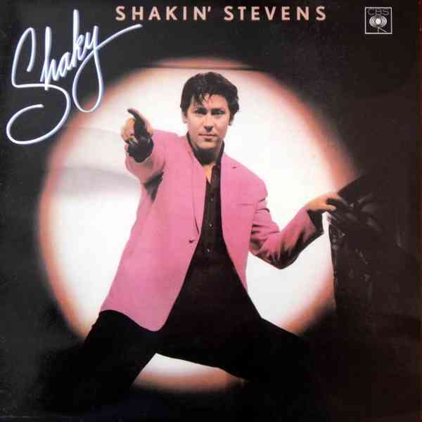 LP Beatles , Tina Turner, Boney M, Wings a j. - foto 11