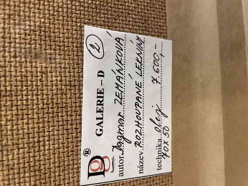 Obraz Dagmar Zemánková Lekníny - foto 2