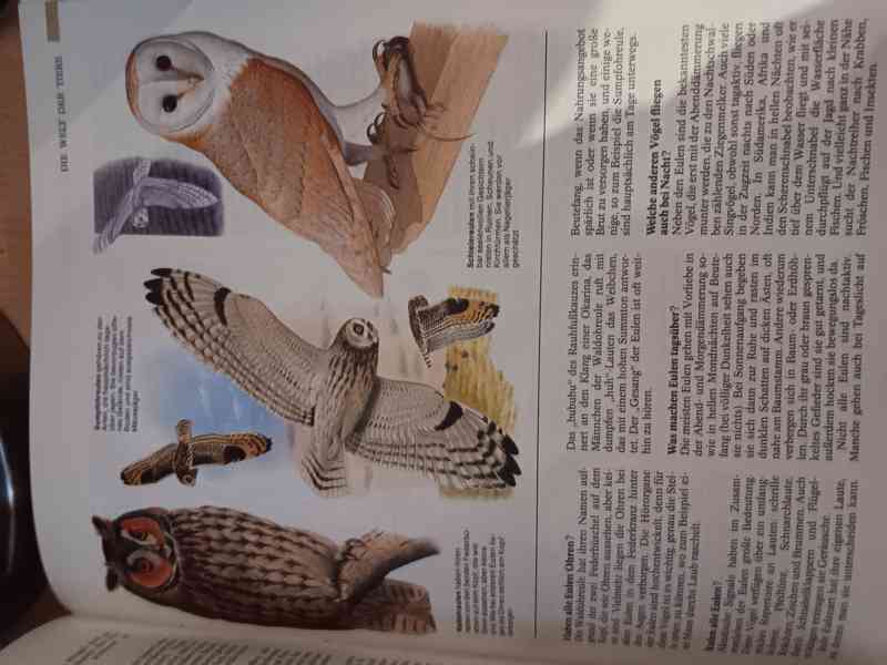 1000 Fragen an die Natur - foto 2