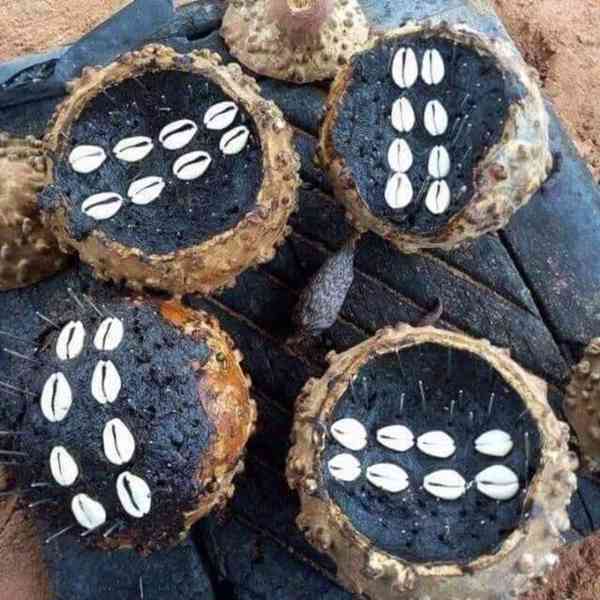 THE BEST POWERFUL HERBALIST IN NIGERIA +2348156950703 - foto 4