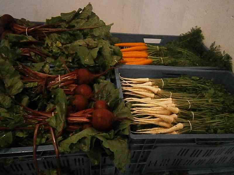Čerstvá zelenina a brambory - foto 3