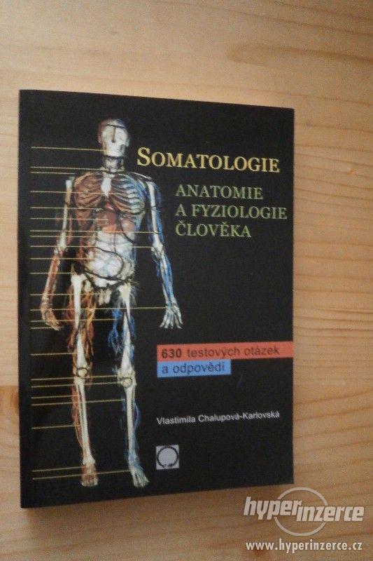 Somatologie- nová - foto 1