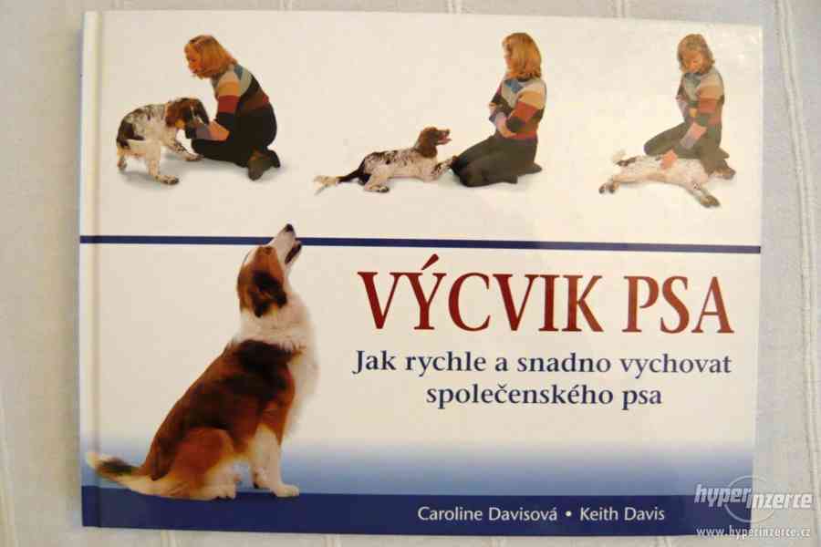 Výcvik psa - foto 1