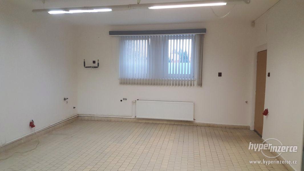 Pronájem bytu (100m2) se zahradou (192m2) Praha 9 Čakovice - foto 5