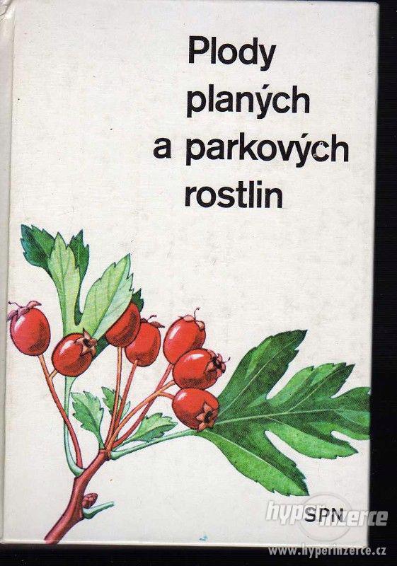 Plody planých a parkových rostlin  Alois Mikula - 1979 - foto 1