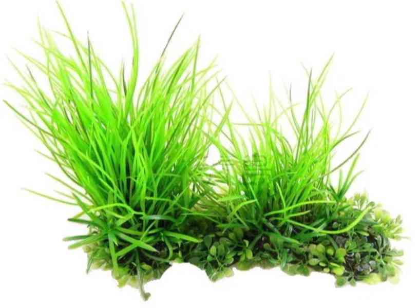 Prodám kompletně vybavené akvárium – 60 l - foto 5