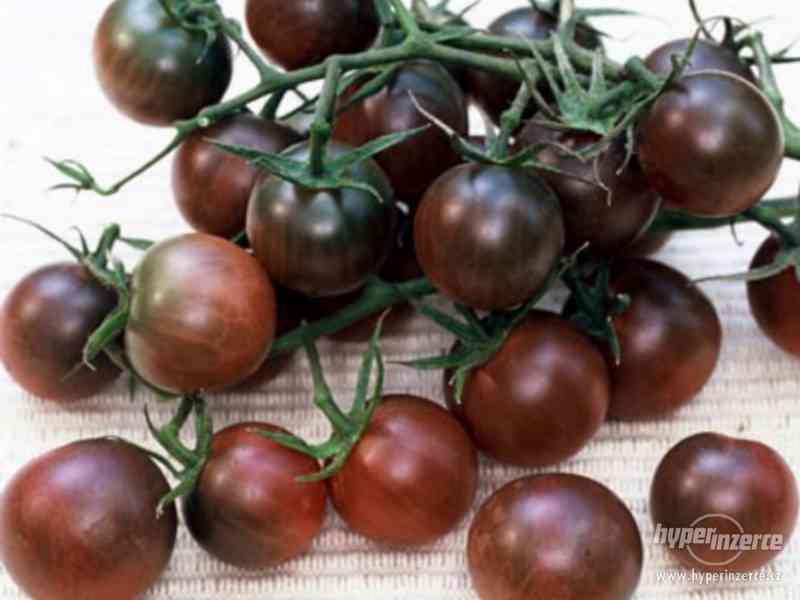 rajče  Black Cherry - semena - foto 1
