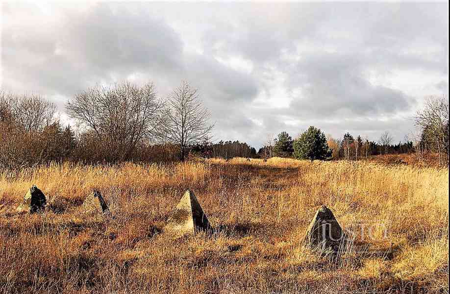 Prodej pozemku 1727 m², Oldřichov - Dobev - foto 5