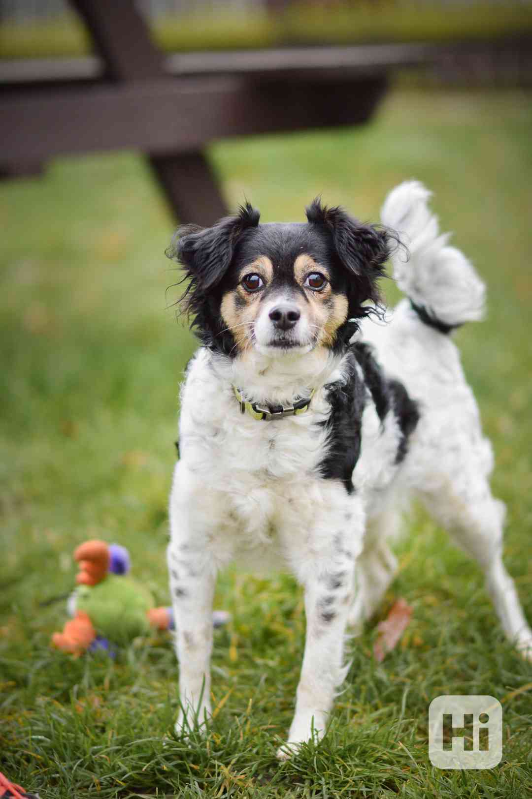 Bublina - hodná praštěná holčička, 8 let - foto 1