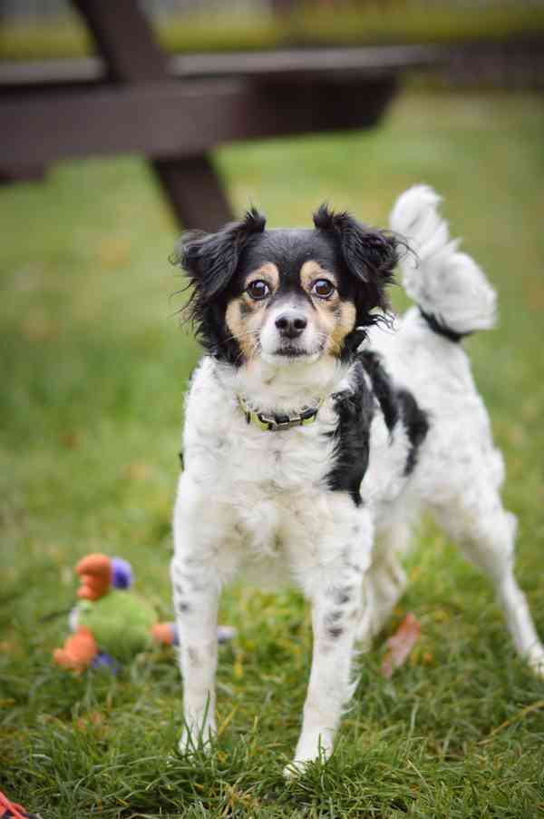 Bublina - hodná praštěná holčička, 8 let