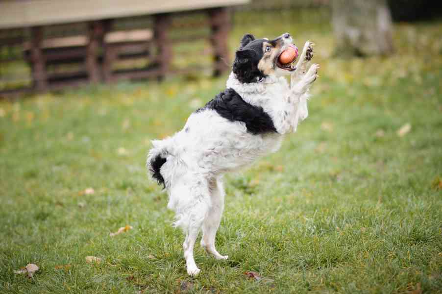 Bublina - hodná praštěná holčička, 8 let - foto 3