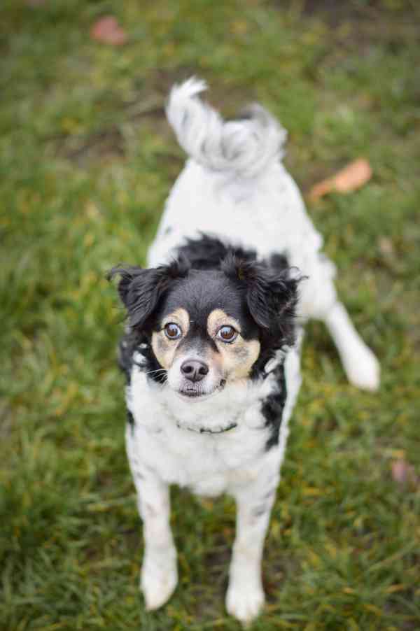 Bublina - hodná praštěná holčička, 8 let - foto 6
