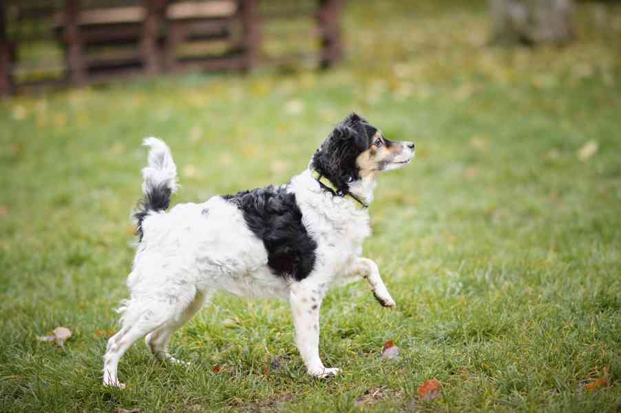 Bublina - hodná praštěná holčička, 8 let - foto 4