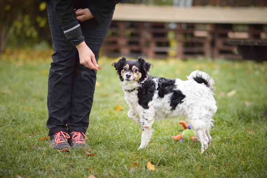 Bublina - hodná praštěná holčička, 8 let - foto 2
