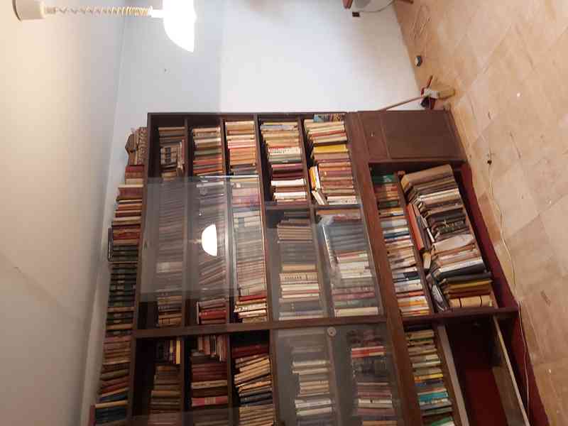 Dám za odvoz velkou knihovnu z masivu - foto 4