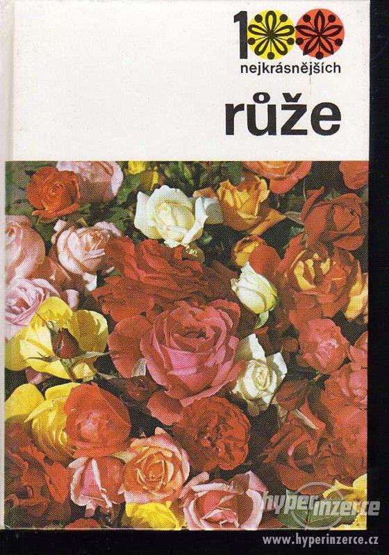 Růže  Božena Sedliská 1989 - 1.vydání - foto 1