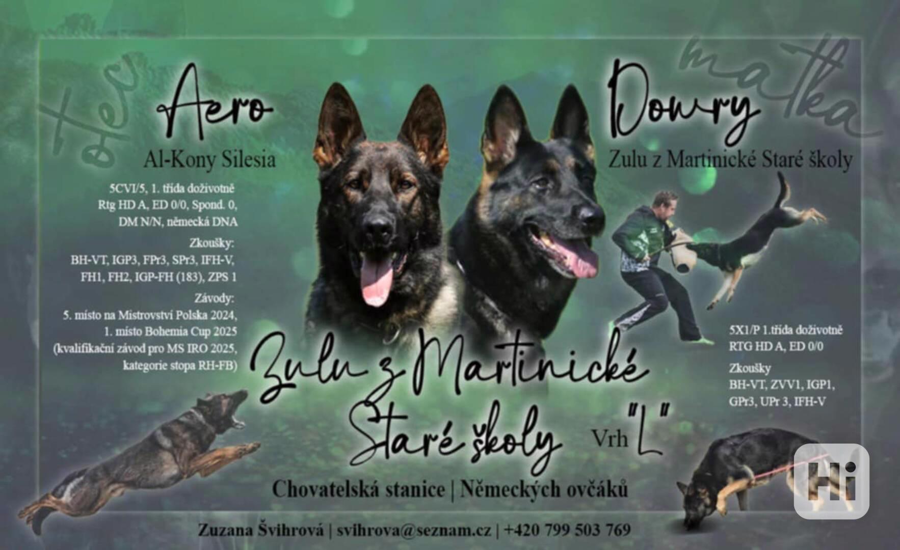  Fenka, německý ovčák s PP - foto 1