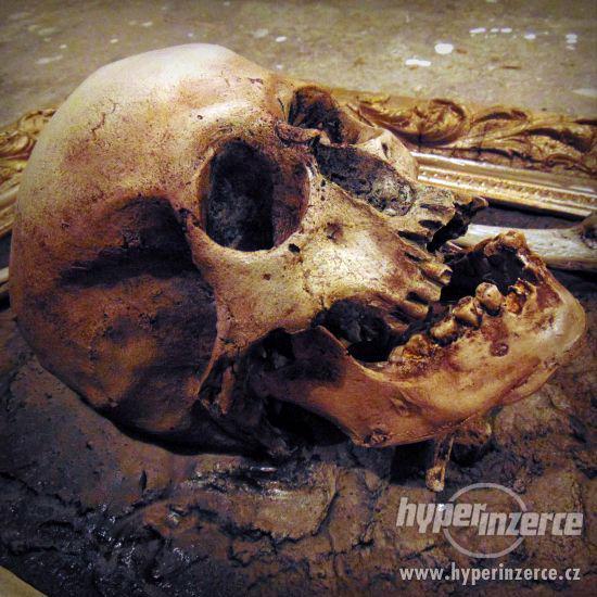 3D obrazy a reklamní poutače z lidských ostatků - foto 3