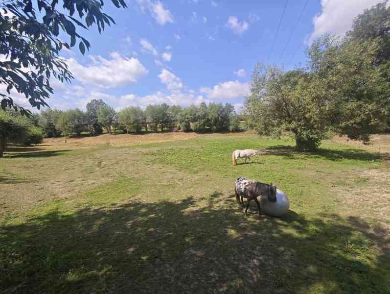 Prodej rodinného domu 390 m², Dolní Újezd - Jiříkov - foto 34