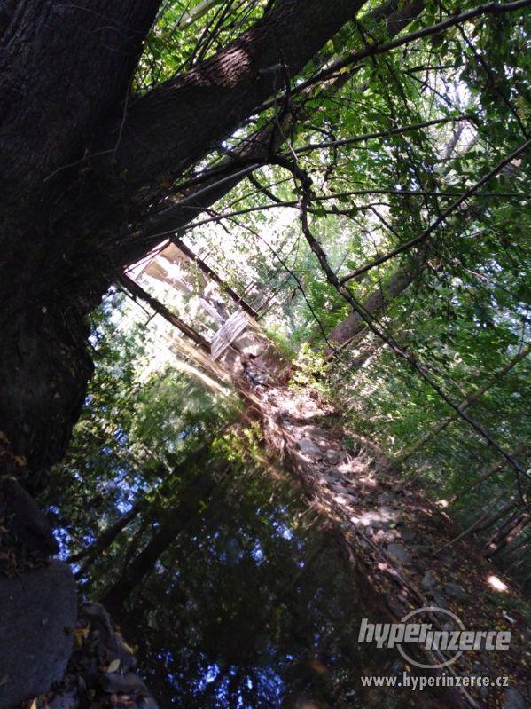 Poloroubenka, stodola +++ - foto 11