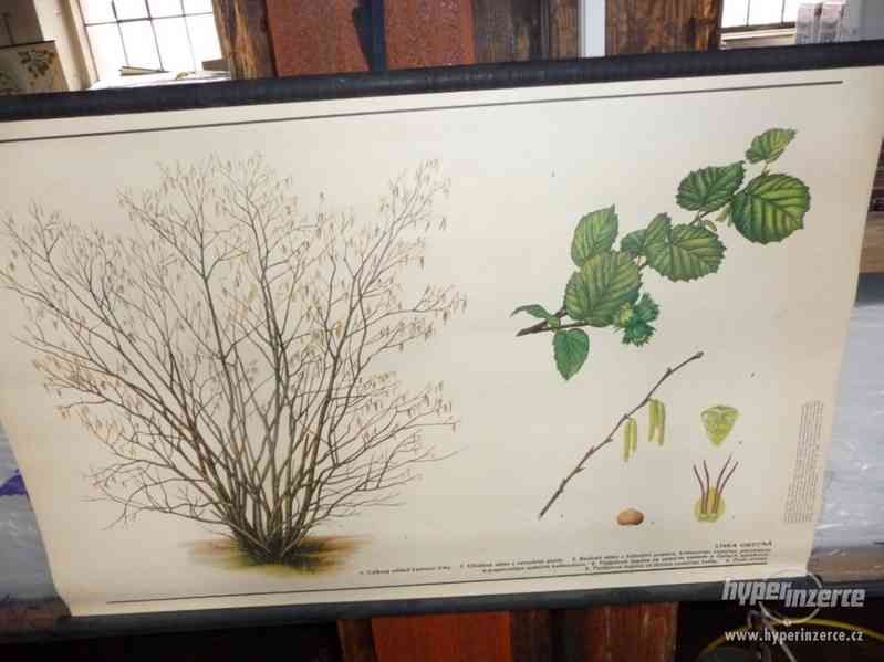 Školní nástěnné obrazy - foto 2