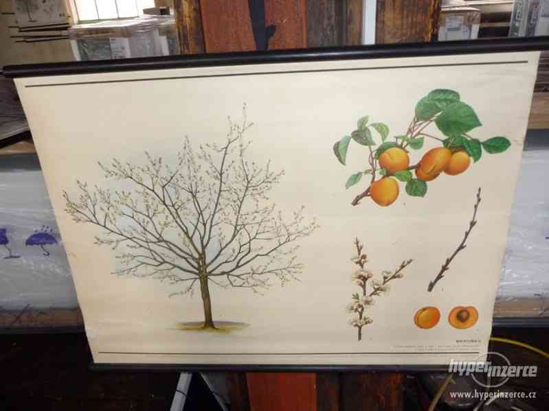 Školní nástěnné obrazy - foto 6