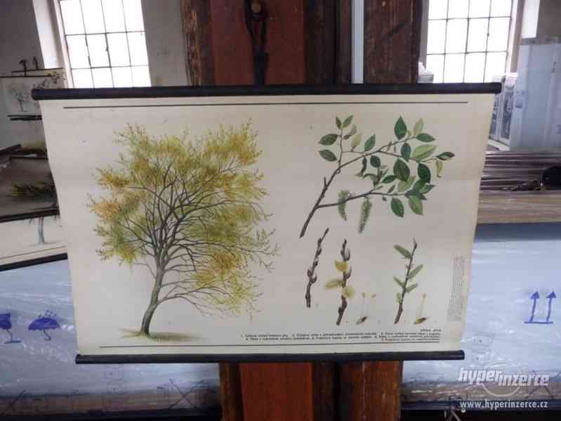 Školní nástěnné obrazy - foto 9